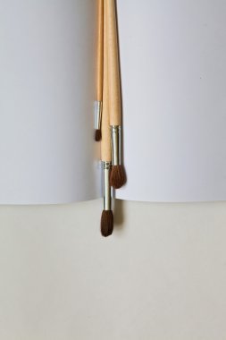 Fırçalar ve kağıt