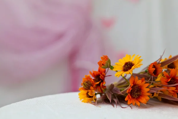 Gerbera blommor — Stockfoto