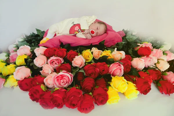 Baby lying in roses — Stock Photo, Image