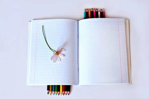 Notebook și creioane — Fotografie, imagine de stoc