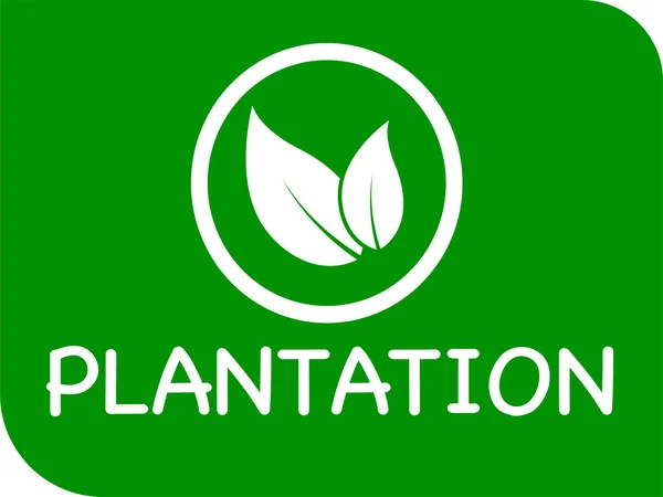 Logo Icono Del Vector Plantación Logotipo Plantación Fondo Verde — Archivo Imágenes Vectoriales