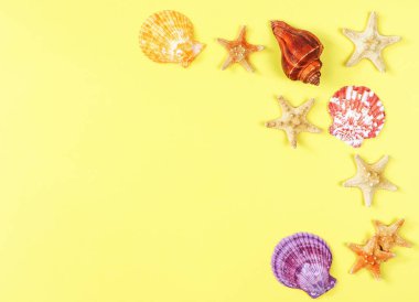 Üst ya da düz deniz kabukları ve sarı arka planda fotokopi alanı olan deniz yıldızları. Yaz tatili geçmişi.
