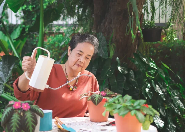 Portrait  of happy and healthy Asian senior woman sitting at white table outdoor taking care of plants. watering Episcia cupreata or flame violet in plant pot.