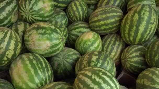 Verkauf von Wassermelonen auf dem Markt — Stockvideo