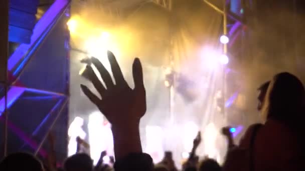 La ragazza alzò le mani al concerto — Video Stock