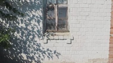 Yaprak dalının gölgesi, rüzgarda savrulan küçük yaprak arka planda, 4k Dci çözünürlüğü