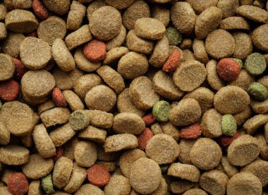 arka plan dokusu kedi ve köpekler için evcil hayvan maması