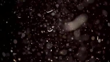 Havada yüzen gerçek toz parçacıkları. Organik sinematik efektler arka planda Makro Yavaş Hareket Kırmızı Kamera. Yüksek kalite 4K görüntü