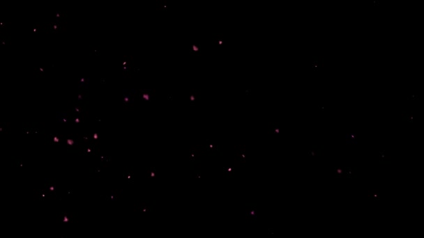 灰尘微粒漂浮在空气中 紫色电影学优雅的未来派有机尘埃粒子宏观慢动作 高质量的4K镜头 — 图库视频影像