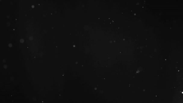 黒色の背景の塵粒子 Redスカーレットカメラでマクロ映画のスローモーション撮影 高品質4K映像 — ストック動画