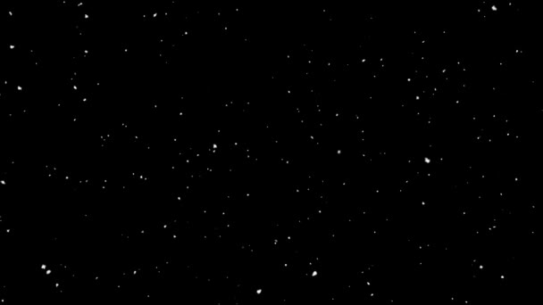 Siyah Arkaplandaki Toz Parçacıkları Yüksek Kalite Görüntü — Stok video