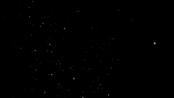 Particules Poussière Filmées Avec Caméra Rouge Ralenti Elégantes Particules Poussière — Video