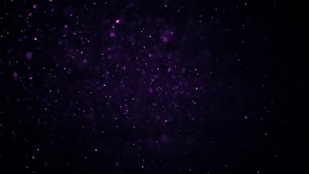 Partículas Polvo Púrpura Fondo Negro Grabación Cámara Lenta Macro Cinematográfica — Vídeo de stock