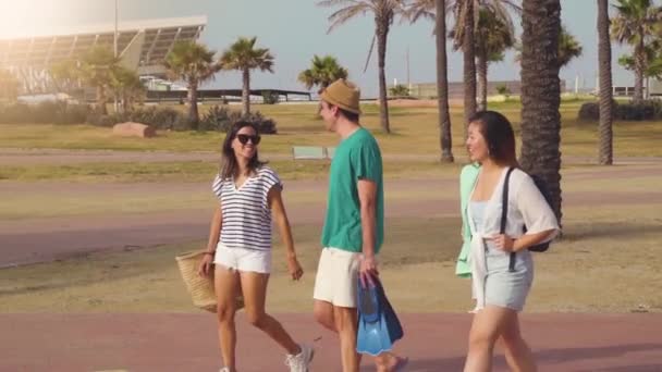 Gruppo Multirazziale Amici Felici Camminando Verso Spiaggia Ridendo Estate Dopo — Video Stock