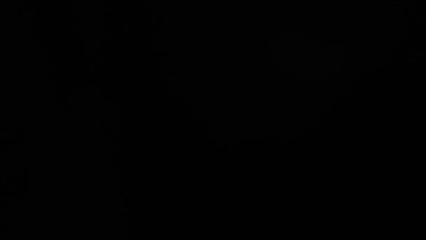 电影镜头在黑色背景上闪烁着淡淡的光芒 球面光学光抽象背景4K 高质量的4K镜头 — 图库视频影像
