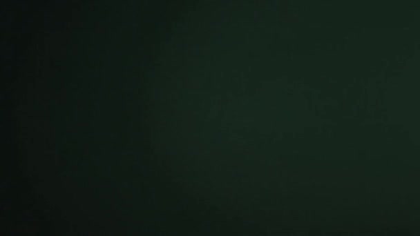 Єктив Спалахує Променями Світла Анімація Мінімалістичної Креативної Розкішної Краси Блиску — стокове відео