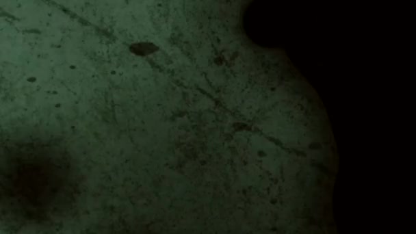 Динамический Эффект Прокатки Пленки Старый Поврежденный Текстурный Шум Пленки Пыль — стоковое видео