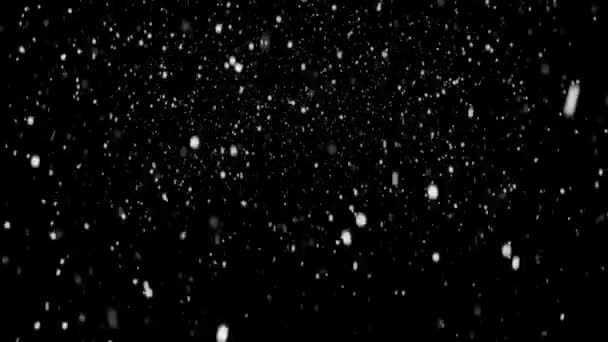 Flocos Neve Sobreposição Vindo Câmera Uma Grande Tempestade Fundo Preto — Vídeo de Stock