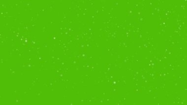 Toz parçacıkları yeşil ekranda. Sinematik gerçekçi animasyon Macro Slow Motion 4K. Yüksek kalite 4k görüntü