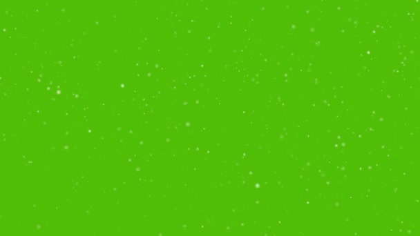 Пилові Частинки Зеленому Екрані Кінематографічна Реалістична Анімація Macro Slow Motion — стокове відео