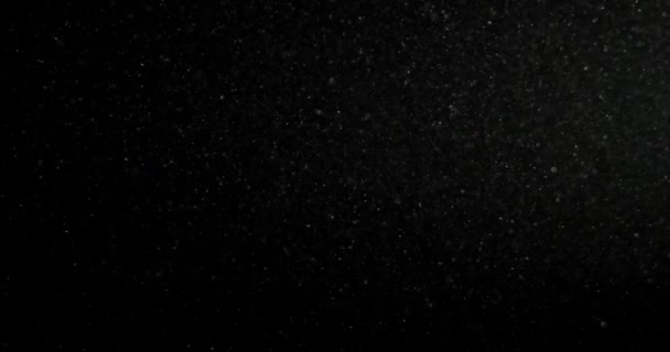 Organische Stofdeeltjes Zweven Zwarte Achtergrond Glinsterende Sprankelende Flikkerende Overlay Hoge — Stockvideo