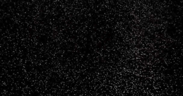 Сніг Падає Чорний Фон Повільному Русі Накладка Атмосфери Зимової Погоди — стокове відео