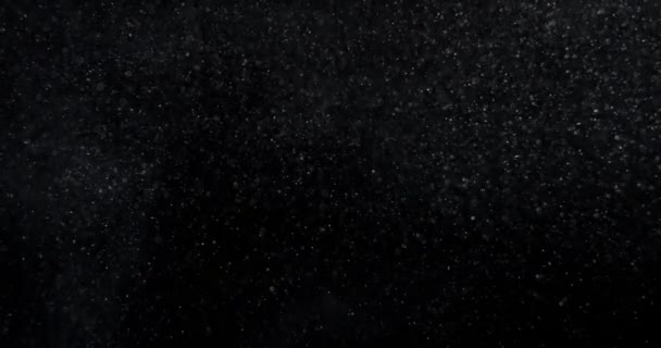 Sistema Vertical Partículas Polvo Flotando Superposición Pantalla Negra Imágenes Cámara — Vídeo de stock