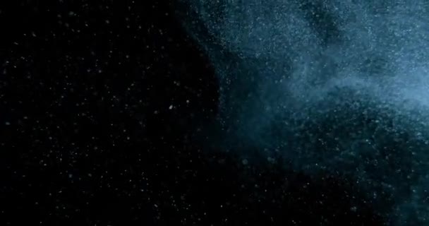 Siyah Ekranda Yüzen Doğal Organik Toz Parçacıkları Yavaş Çekim Arkaplan — Stok video