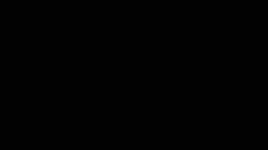 Sinematik mercek siyah arkaplanda ışık sızıntısı oluşturur. Küresel Optik Işık soyut arkaplan 4K. Yüksek kalite 4k görüntü