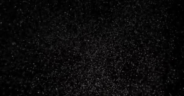 Tormenta Nieve Cinematográfica Con Viento Fuerte Sobre Fondo Negro Cámara — Vídeo de stock