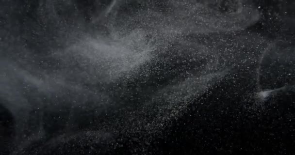 Système Naturel Particules Poussière Organique Flottant Sur Écran Noir Arrière — Video