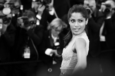 Freida Pinto