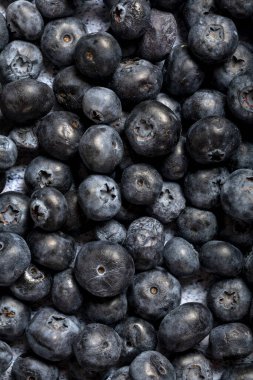Macro close up of unwashed blueberries. 