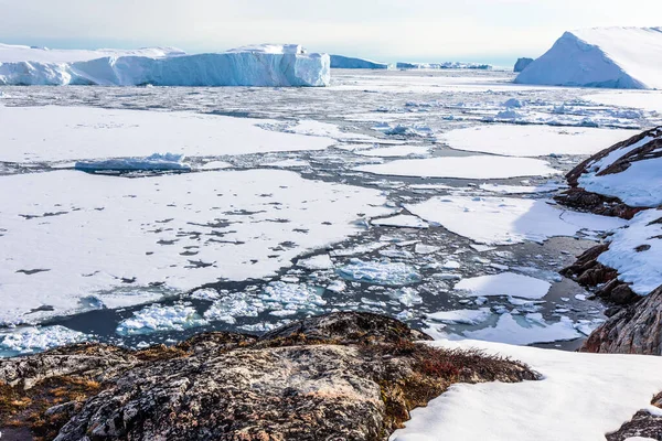 Jégmezők Sodródó Jéghegyek Észak Grönlandi Ilulissat Fjordnál — Stock Fotó