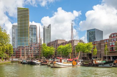 Limanda demirlemiş yelkenliler ve arka planda gökdelenler, Rotterdam. Hollanda 'da.