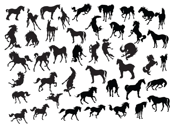 Colección de silueta de caballo - Ilustración — Vector de stock