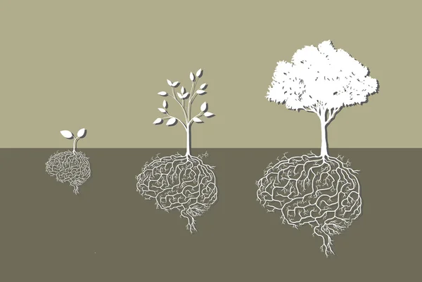 具有脑根、载体的幼体植物 — 图库矢量图片