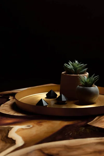 Pahalı eski mobilyalar. Masa epoksi reçineyle kaplanmış ve verniklenmiş. Yuvarlak bir ağaç tablasında altın bir epoksi nehri. Bakır aralıklarda beton kaplarda küçük kaktüsler. 