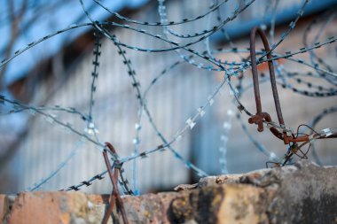 Çitlerdeki dikenli teller