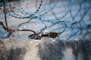 Çitin arkasında dikenli tel var.