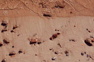 Beyaz arka planda kahverengi kahve çekirdeklerinin yakın plan çekimi.