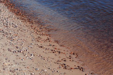 Sahilde güzel deniz dalgaları