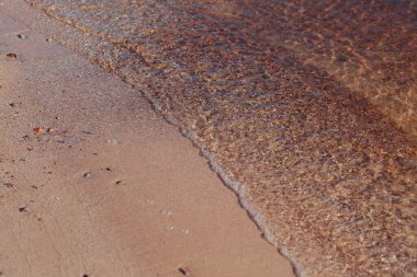 Sahildeki deniz dalgaları