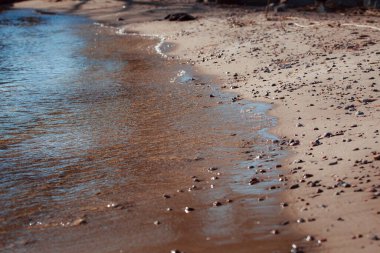 Sahildeki deniz dalgaları