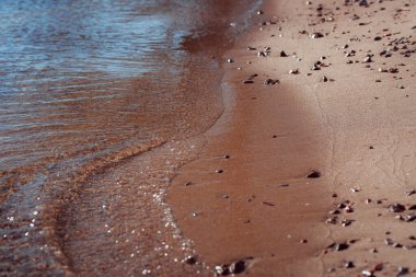 dalgalı ve kabuklu deniz kumsalı