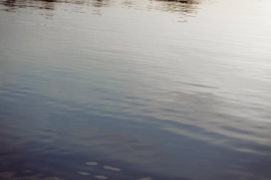 Su nehir kıyısında dalgalanır