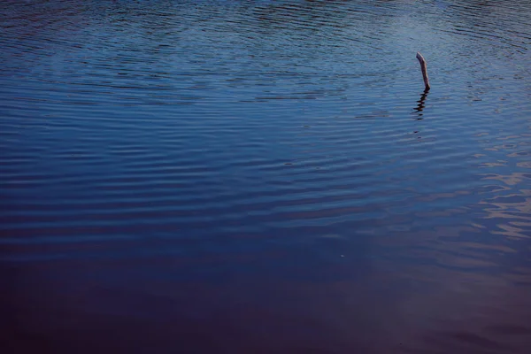 Schöner Blick Auf Den See — Stockfoto