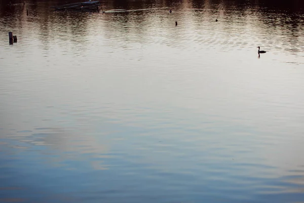 Scenic Lake View Daytime — Stock Photo, Image