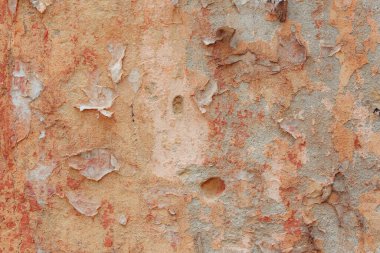 grunge doku arkaplanı, eski duvarı kapat