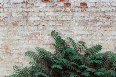 eski tuğla duvar dokusu